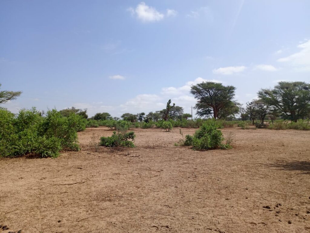 Terrain Agricole de 4 Hectares vers Thiénaba – Thiès