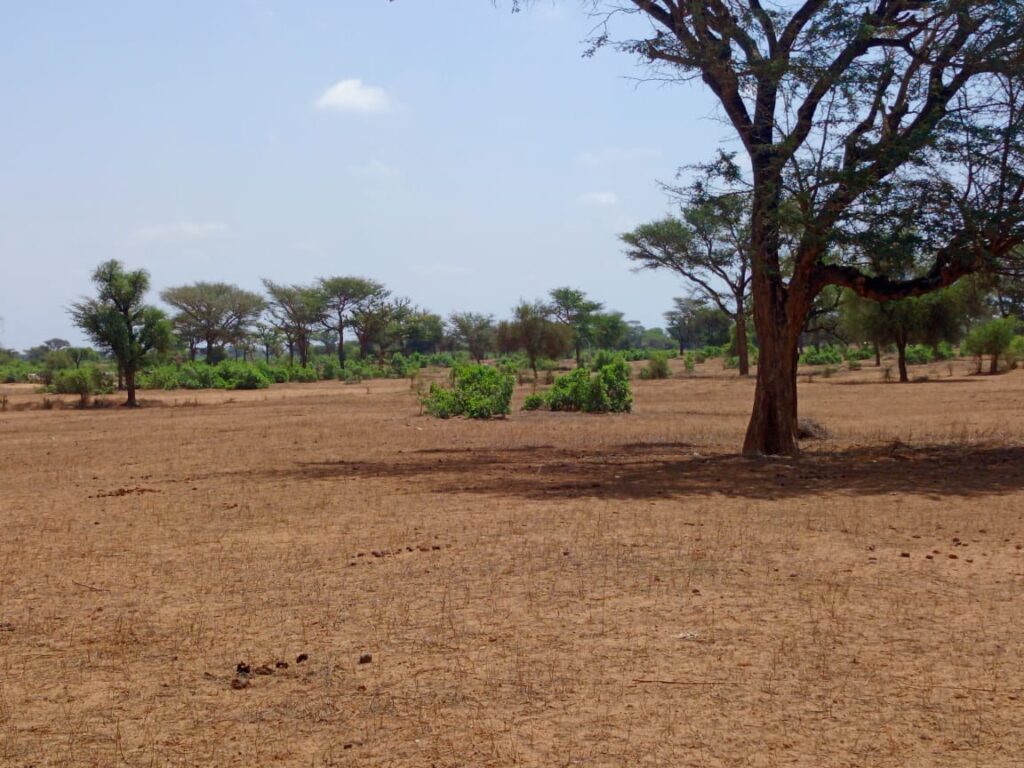 Terrain Agricole de 4 Hectares vers Thiénaba – Thiès