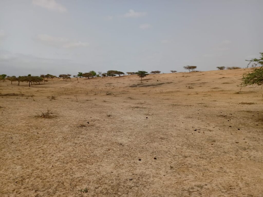 Terrain Agricole de 2,50 Hectares vers Thieppe – Kébémer