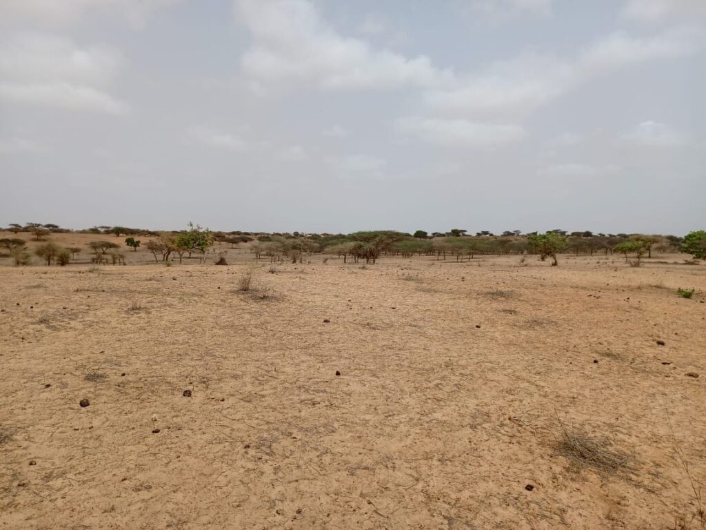 Terrain Agricole de 9,22 Hectares vers Thieppe – Louga