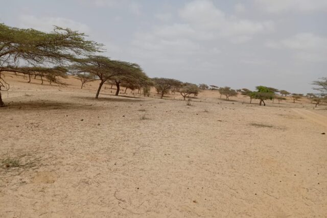 Terrain Agricole de 9,22 Hectares vers Thieppe – Louga