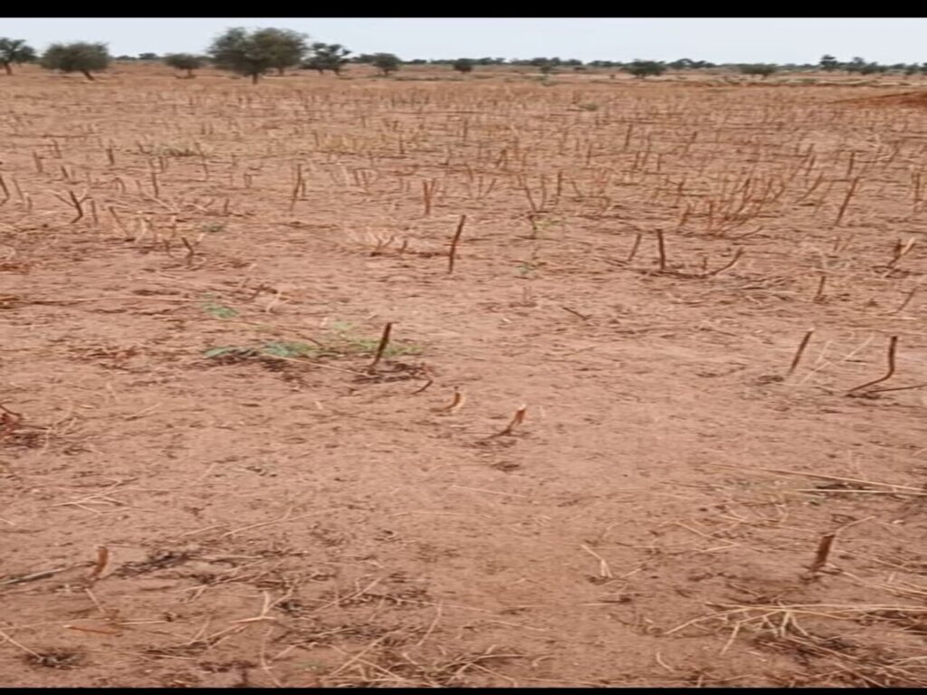 Terrain Agricole de 7783 M² vers Tassette – Thiès