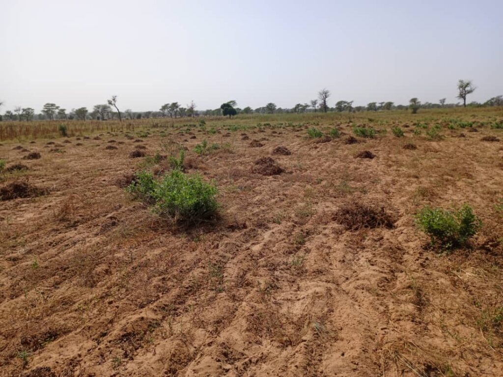 Terrain Agricole de 2,88 Hectares vers Ndiayene Sirakh