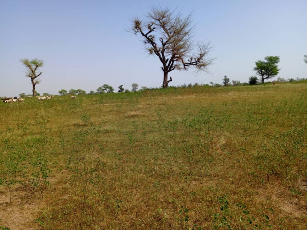 Terrain Agricole de 2,07 Hectares vers Khombole – Thiès