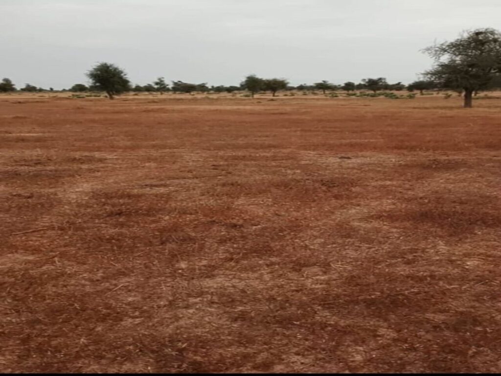 Terrain Agricole de 7783 M² vers Tassette – Thiès