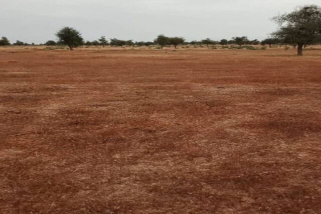 Terrain Agricole de 50 Hectares vers Nghaye – Mbacké