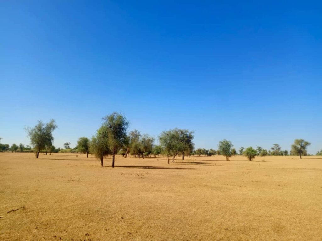 Terrain Agricole de 2,96 Hectares vers Mbadiéne – Kébémer