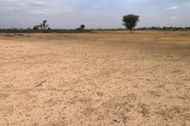 Terrain Agricole de 9000m² vers Tassette – Thiès