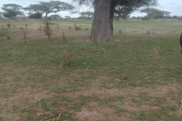Terrain Agricole de 10 Hectares vers Koul – Thiès