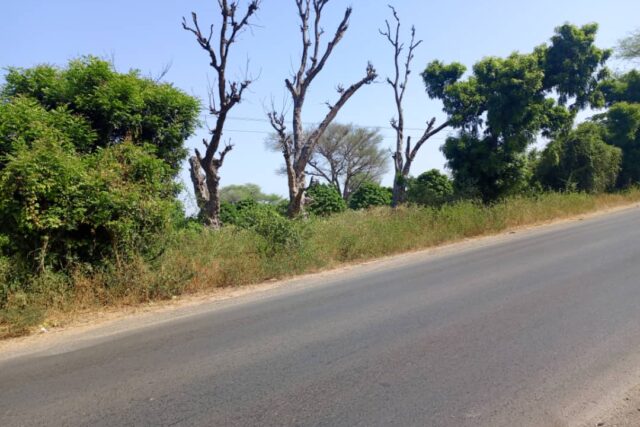 Terrain de 3 Hectares en bordure de route vers Thiénaba