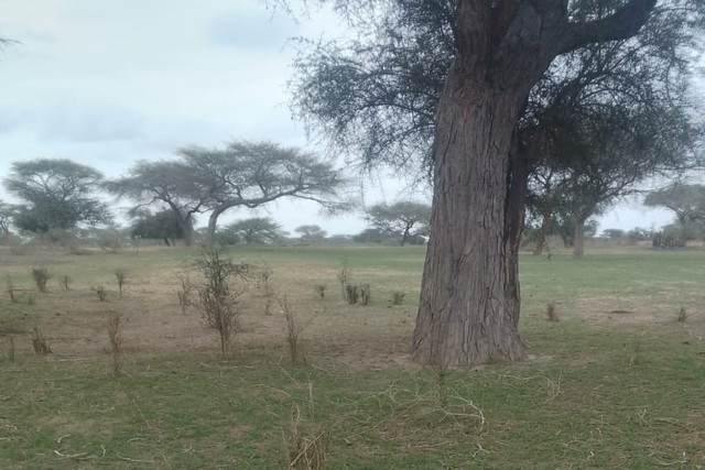 Terrain Agricole de 10 Hectares vers Koul – Thiès