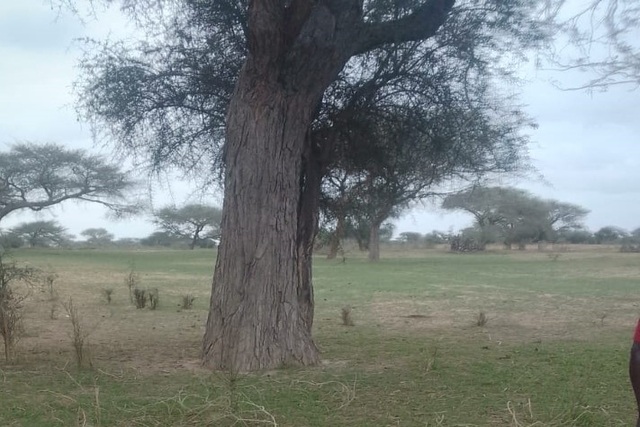 Terrain Agricole de 10 Hectares vers Koul – Thiès