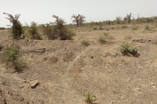 Terrain de 3,18 Hectares en bordure de route vers Keur Moussa