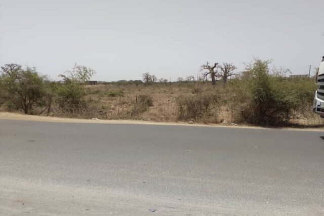 Terrain de 3,18 Hectares en bordure de route vers Keur Moussa