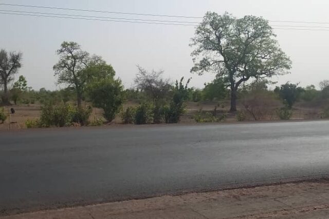 Terrain de 2 Hectares en bordure de la RN1 vers Koussanar – Tamba