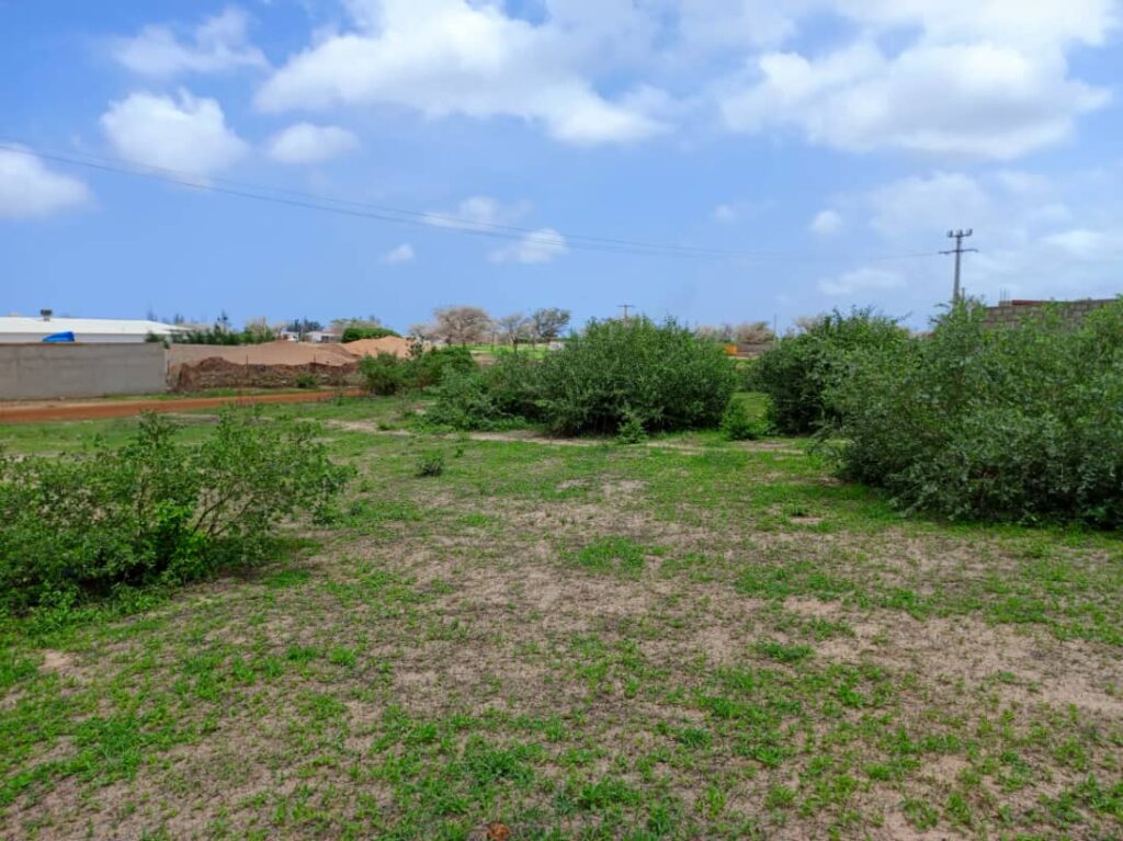 Terrain de 1,57 Hectare vers Keur Moussa