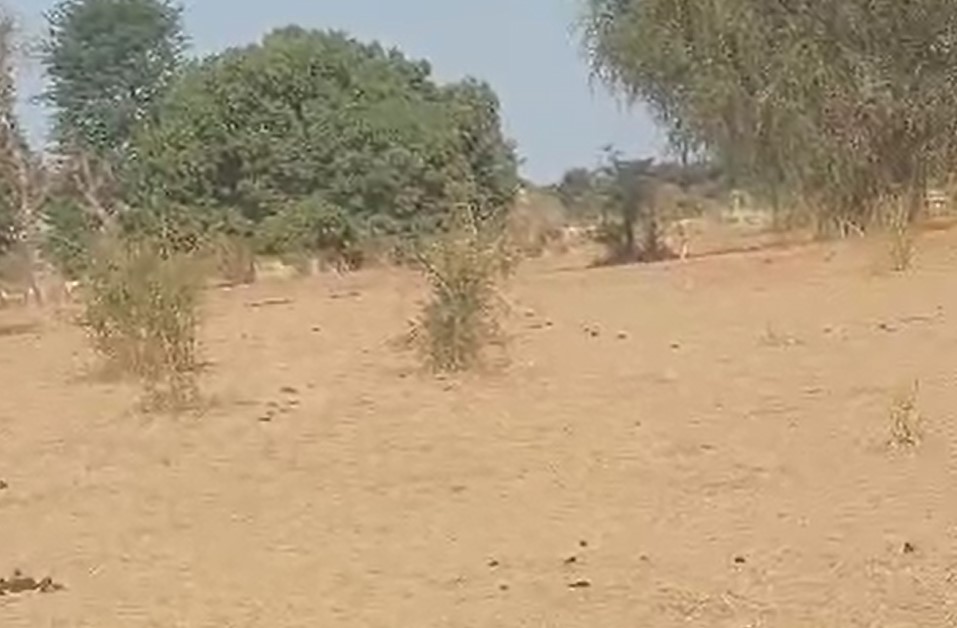 Terrain Agricole de 2 Hectares vers Notto Diobass – Thiès