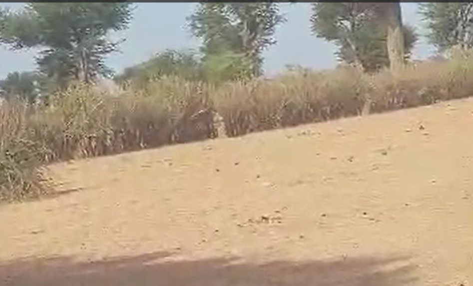 Terrain Agricole de 2 Hectares vers Notto Diobass – Thiès