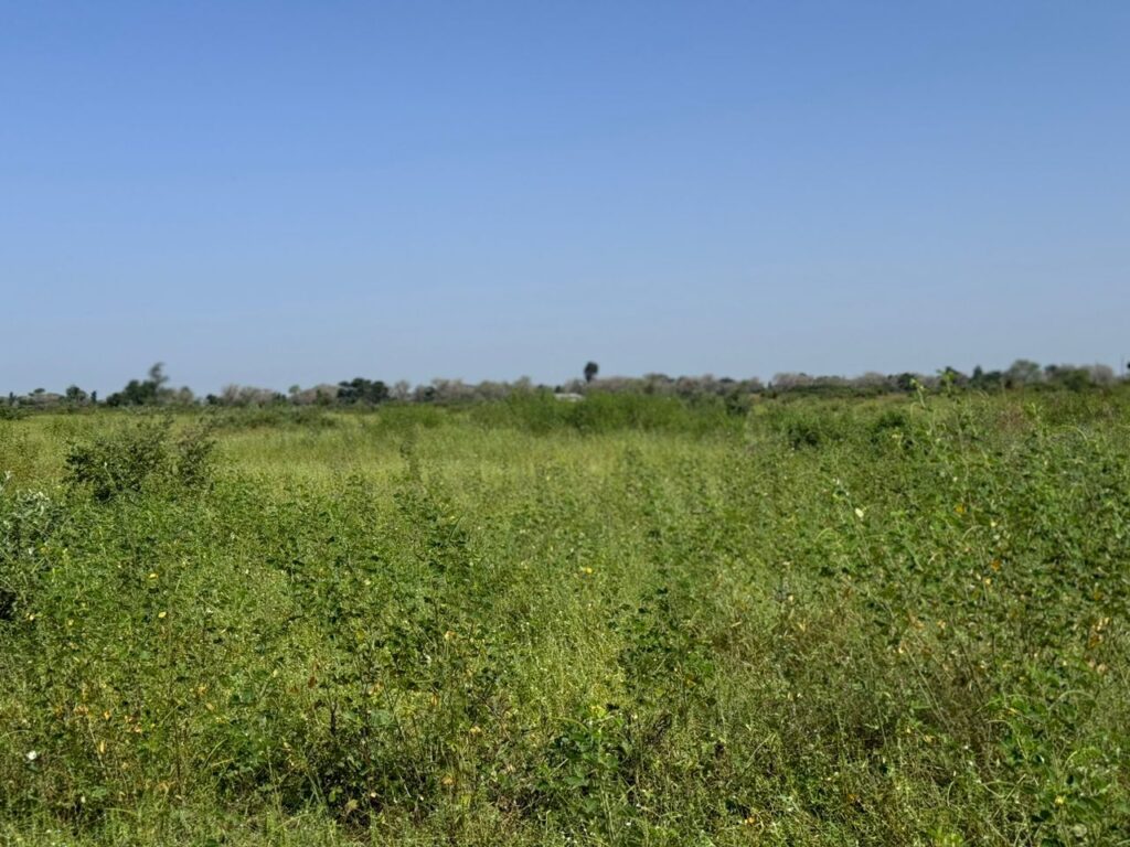 Terrain Agricole de 1,8 Hectare vers Fissel – Thiès