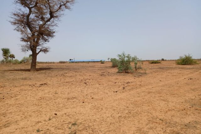 Terrain de 1,27 Hectare ouvert sur piste en latérite vers Diobass