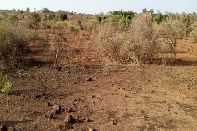 Terrain Agricole de 1,5 Hectare vers Sindia – Mbour