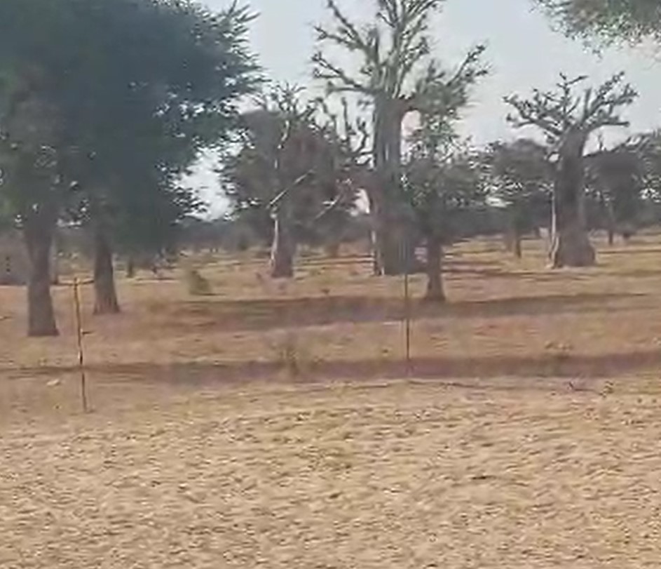 Terrain Agricole de 1,70 Hectare vers Notto Diobass – Thiès