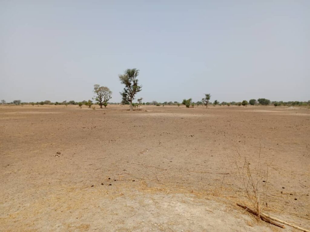 Terrain Agricole de 1,83 Hectare vers Tassette – Thiès