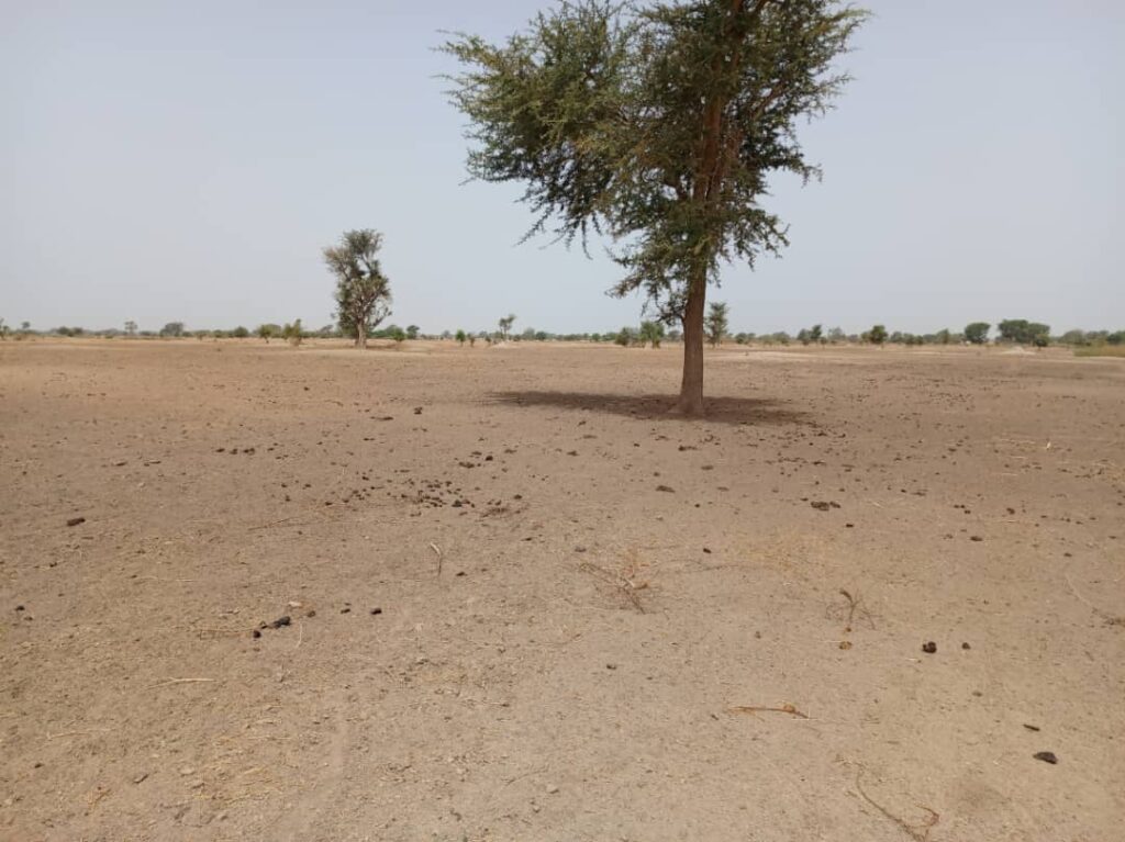 Terrain Agricole de 1,83 Hectare vers Tassette – Thiès