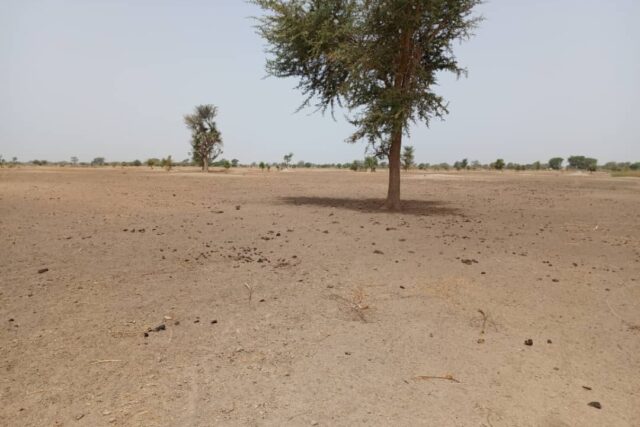 Terrain Agricole de 1,83 Hectare vers Tassette – Thiès