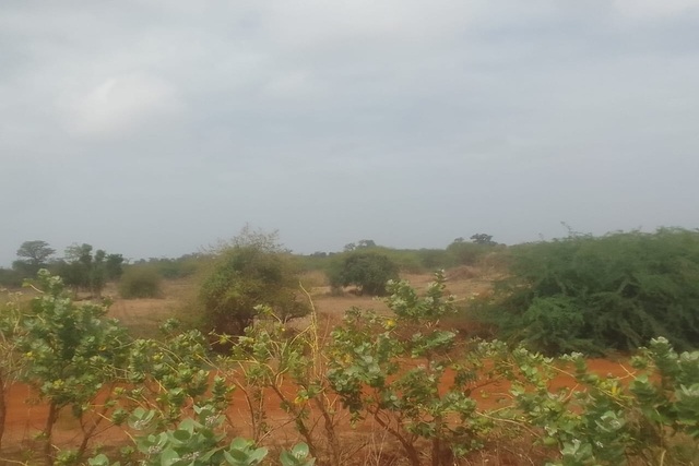 Terrain de 13 hectares au bord de l’autoroute A1 vers Sindia-Mbour