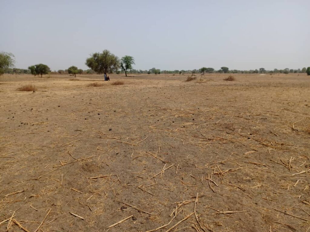 Terrain Agricole de 2,06 Hectares vers Tassette – Thies