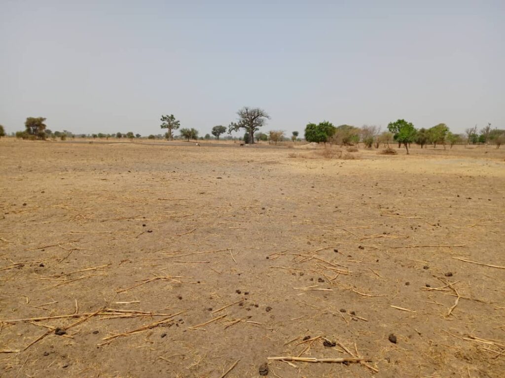 Terrain Agricole de 2,06 Hectares vers Tassette – Thies