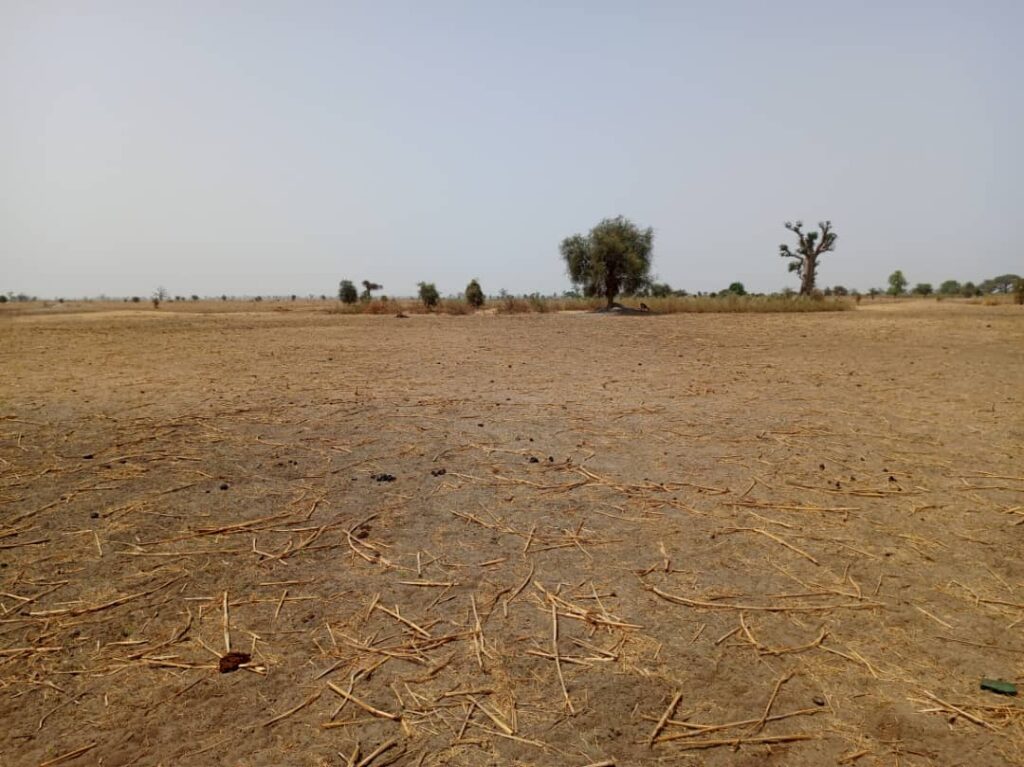 Terrain Agricole de 2,06 Hectares vers Tassette – Thies