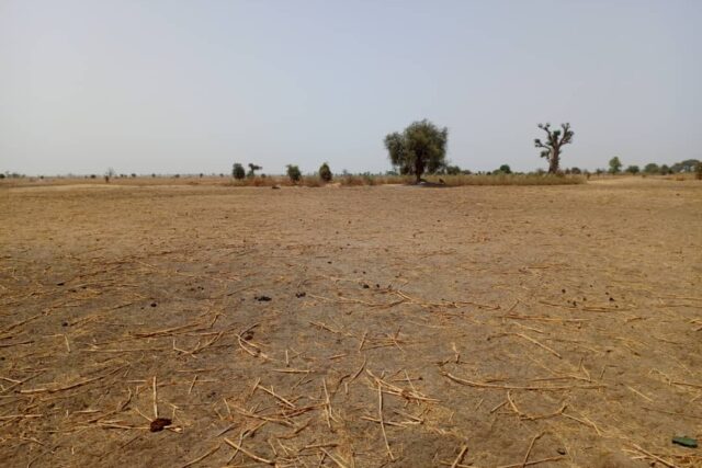 Terrain Agricole de 2,06 Hectares vers Tassette – Thies