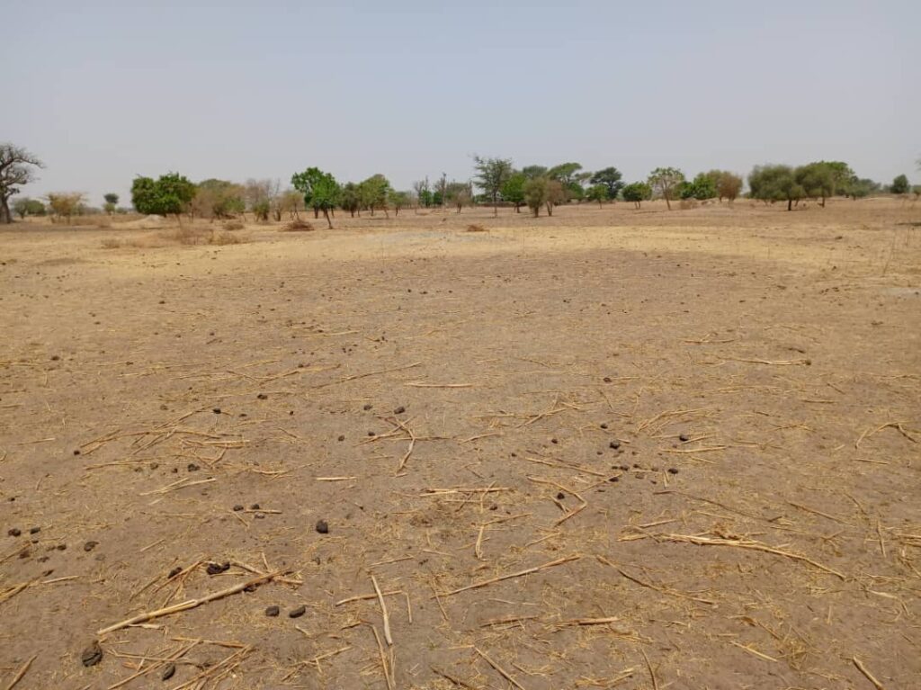 Terrain Agricole de 2,06 Hectares vers Tassette – Thies