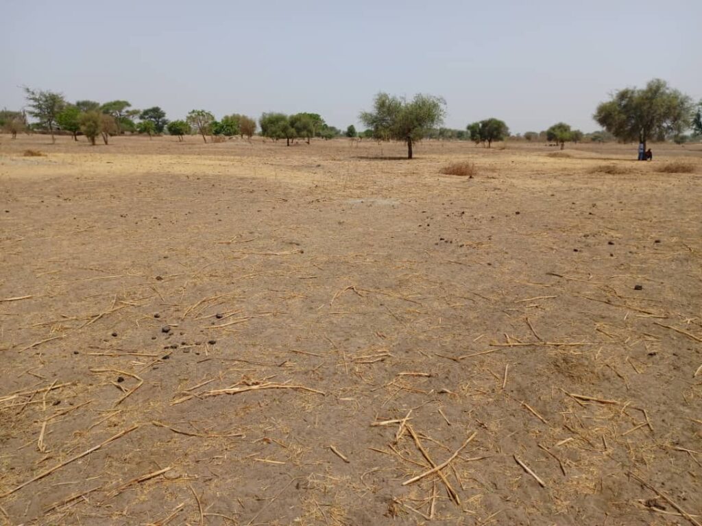 Terrain Agricole de 2,06 Hectares vers Tassette – Thies