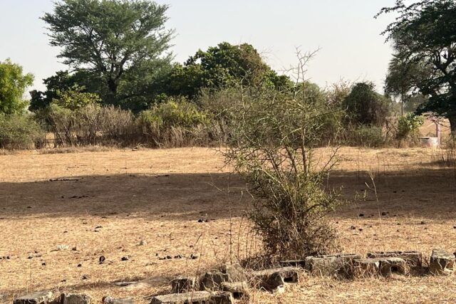 Terrain de 8000 métres carrés vers Tataguine – Mbour