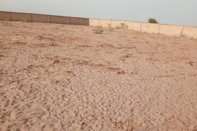 Terrain agricole de 12 Hectares vers Touba – Mbacké