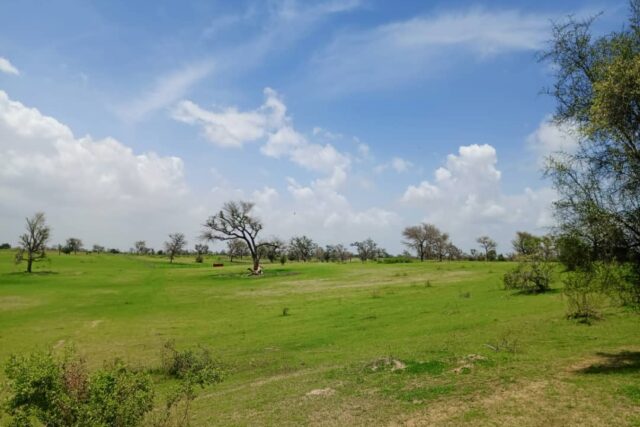 Terrain de 1,97 Hectare en bordure de Piste vers Tocky Gare – Gossas-