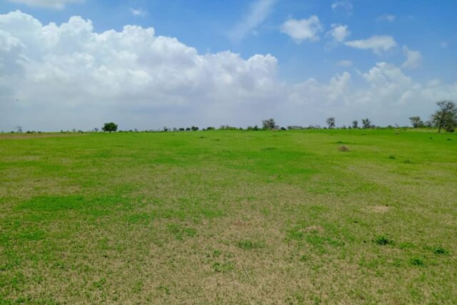 Terrain de 1,97 Hectare en bordure de Piste vers Tocky Gare – Gossas-