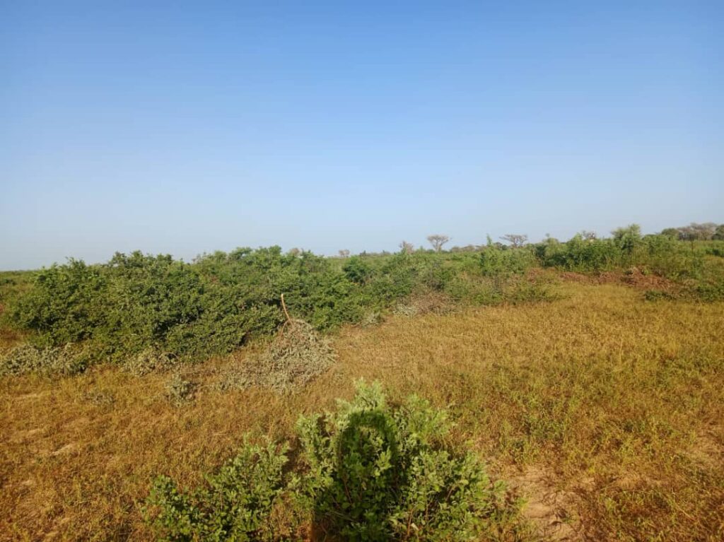 Terrain Agricole de 9 Hectares vers Notto Diobass – Thiès