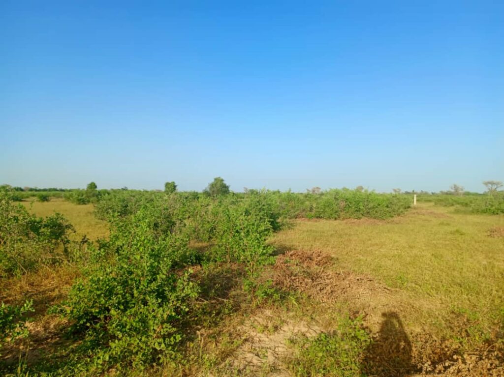 Terrain Agricole de 9 Hectares vers Notto Diobass – Thiès