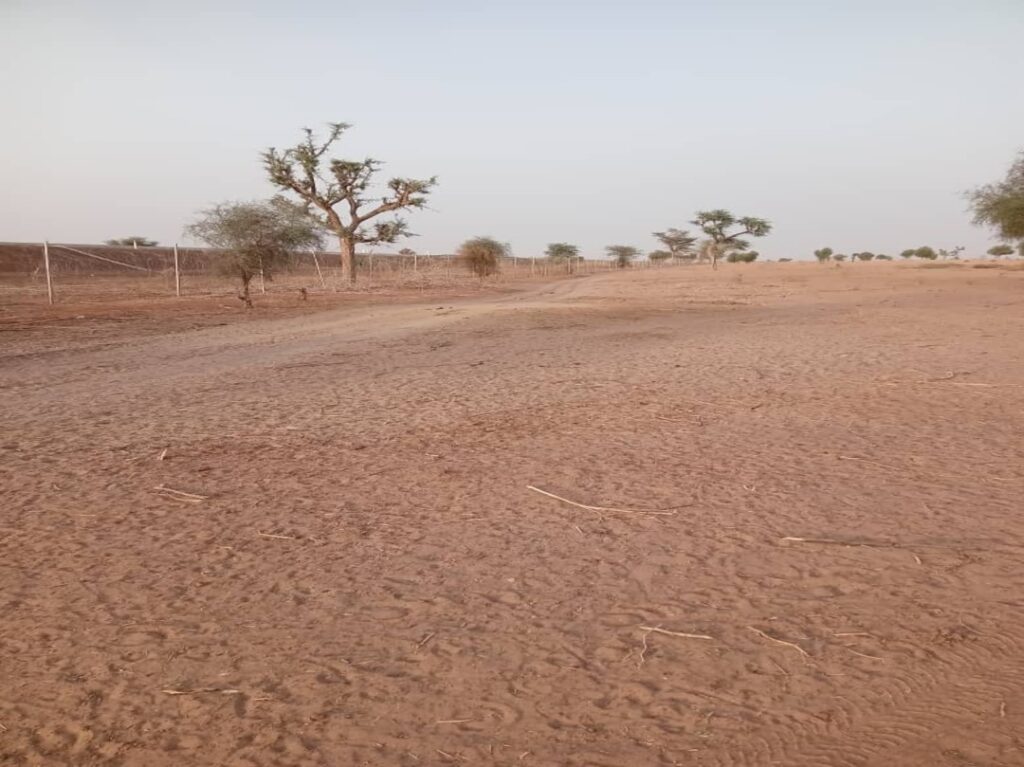 Terrain Agricole de 25 Hectares vers Touba – Mbacké