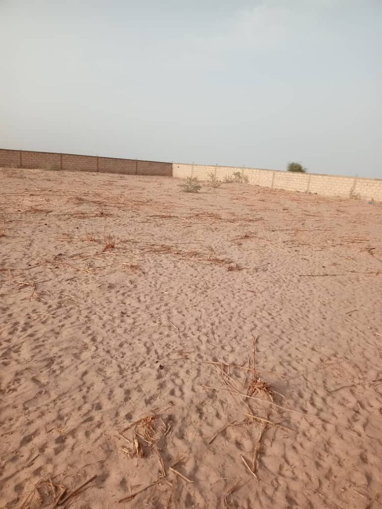 Terrain agricole de 12 Hectares vers Touba – Mbacké