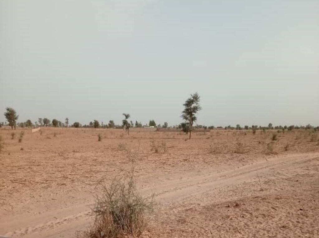 Terrain Agricole de 25 Hectares vers Touba – Mbacké