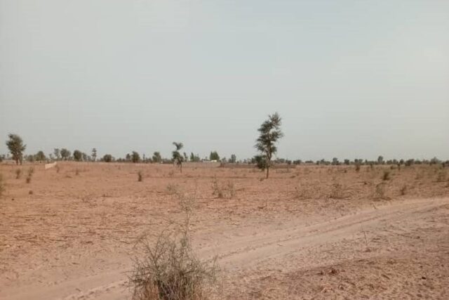 Terrain Agricole de 25 Hectares vers Touba – Mbacké
