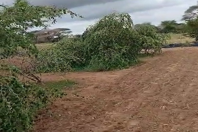 Verger de 6 000 m² vers Thiénaba – Thiès