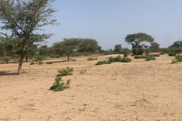 Terrain de 6 Hectares en bordure de Route vers Touba Toul – Thiès