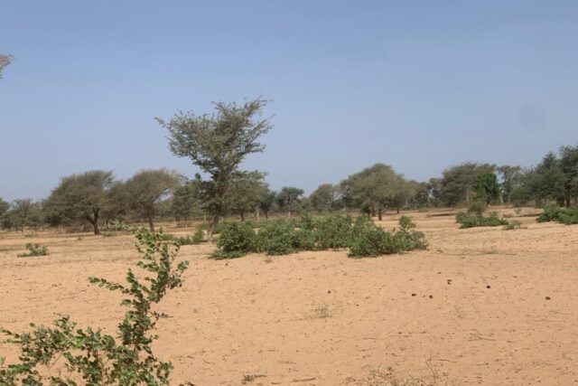 Terrain de 6 Hectares en bordure de Route vers Touba Toul – Thiès