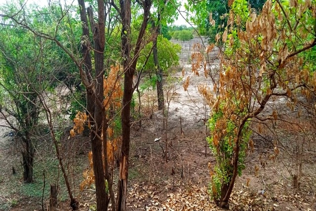 Terrain Agricole de 100 Hectares vers Vélingara – Linkering